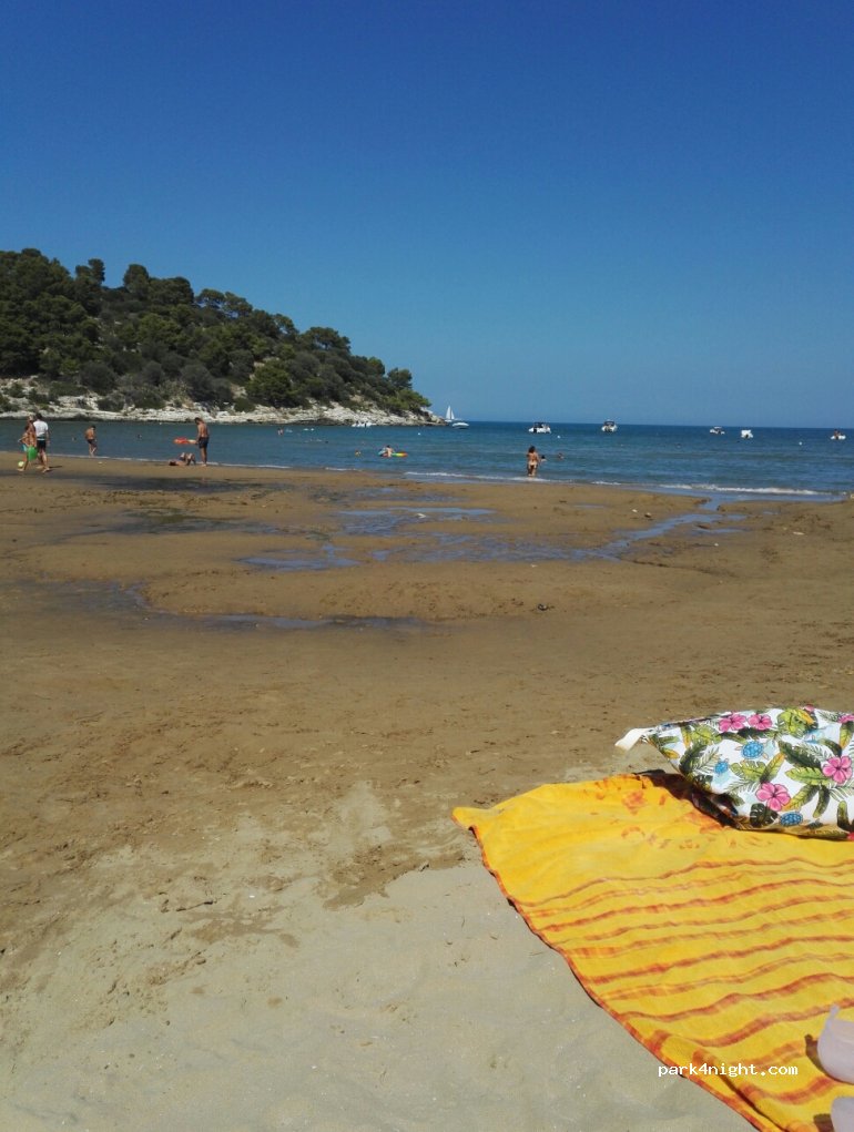 (71019) Vieste - SP53 — foto 3