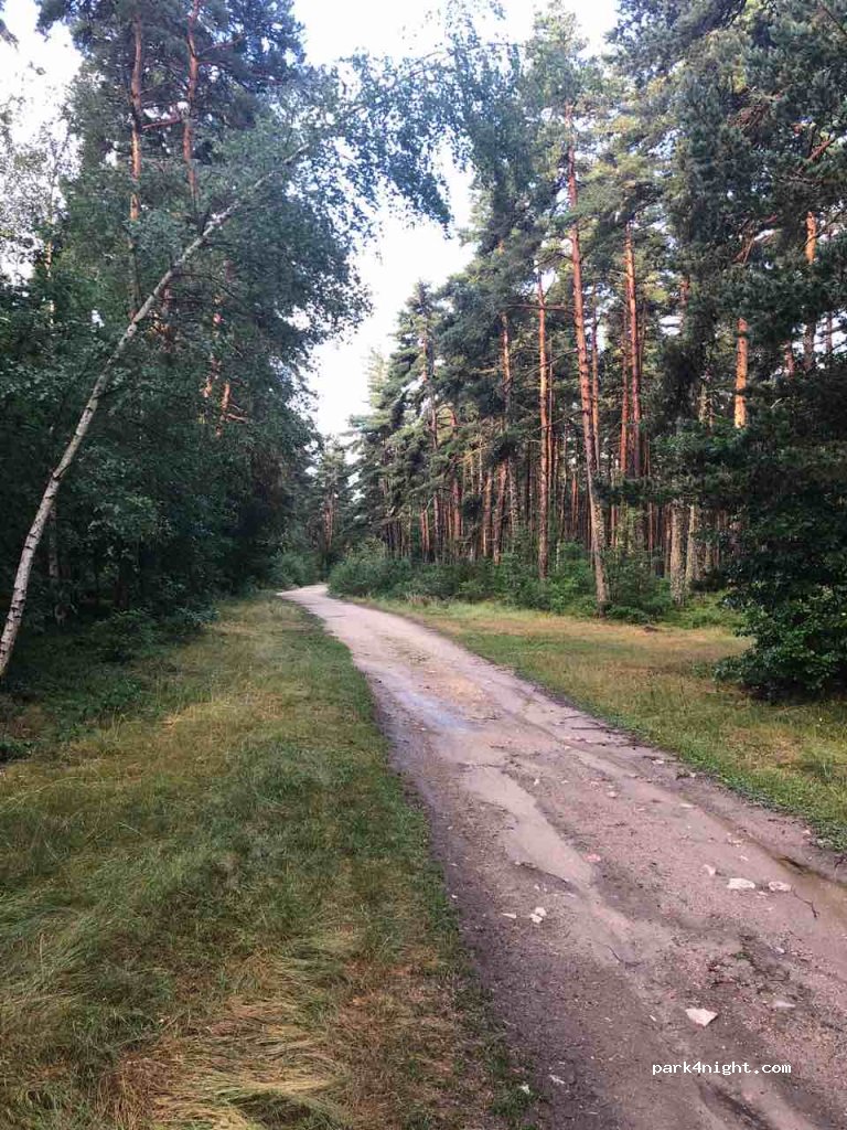 (48120) Saint-Alban-sur-Limagnole - Unnamed Road — foto 2