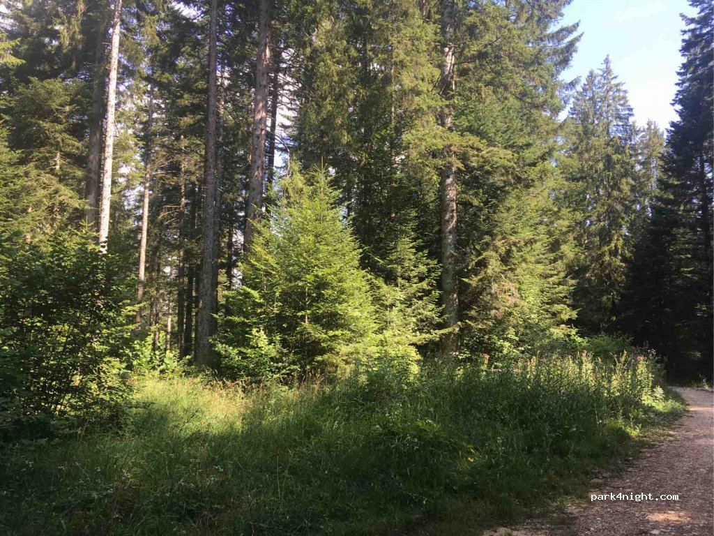(25160) Malbuisson - Unnamed Road — foto 3