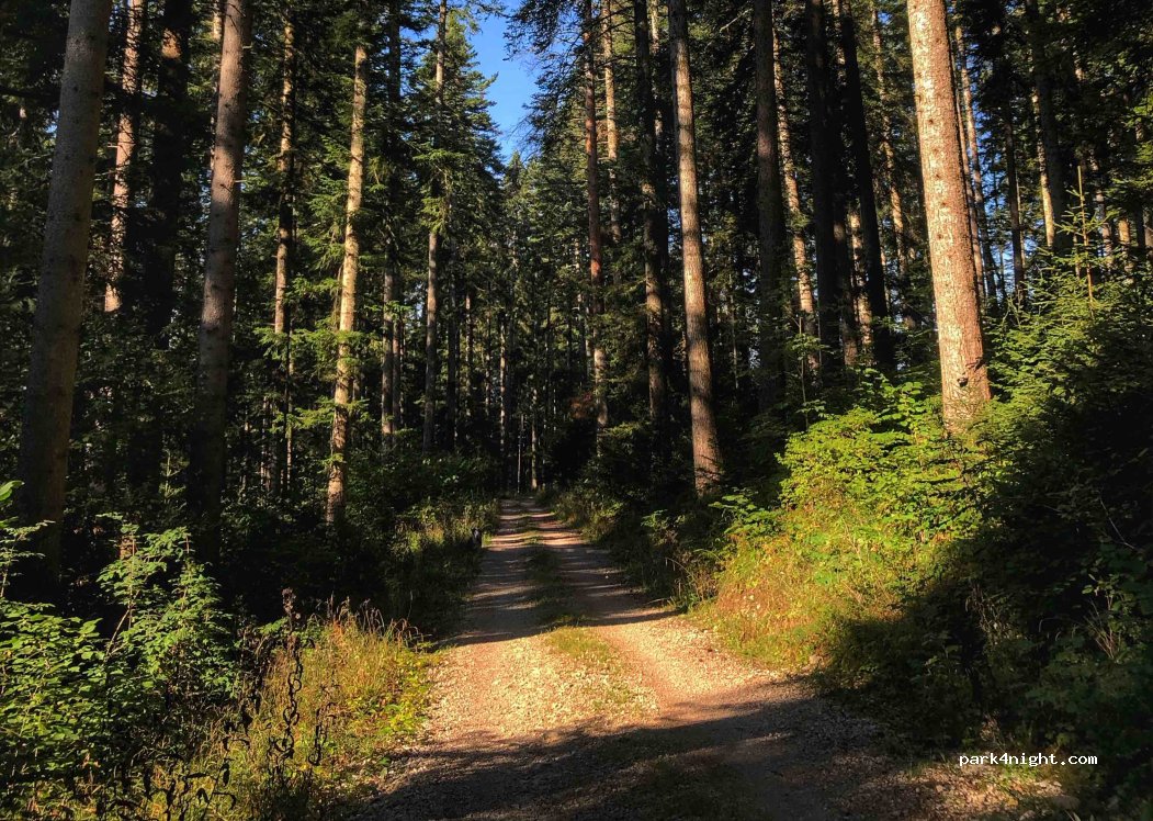 (25160) Malbuisson - Unnamed Road — foto 4