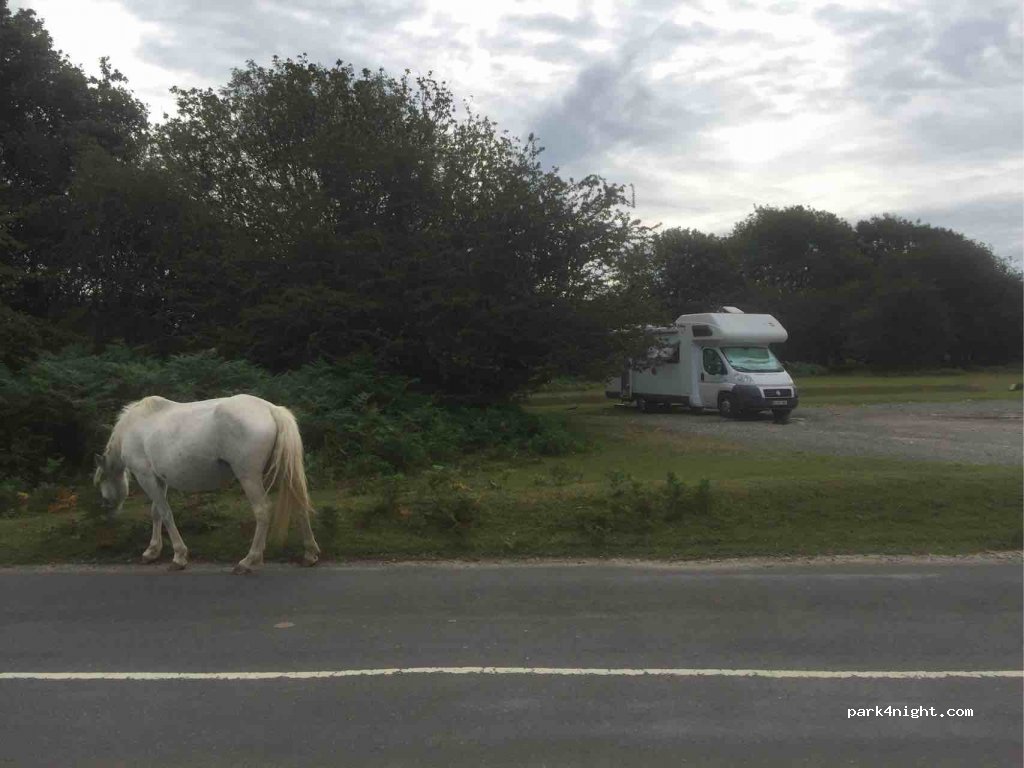 (PL20 7PW) Yelverton - Pound Road — foto 2