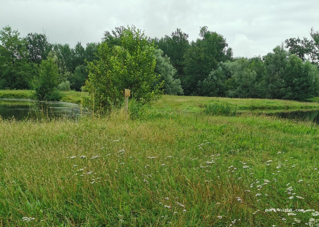 (51300) Orconte - Unnamed Road — foto 2