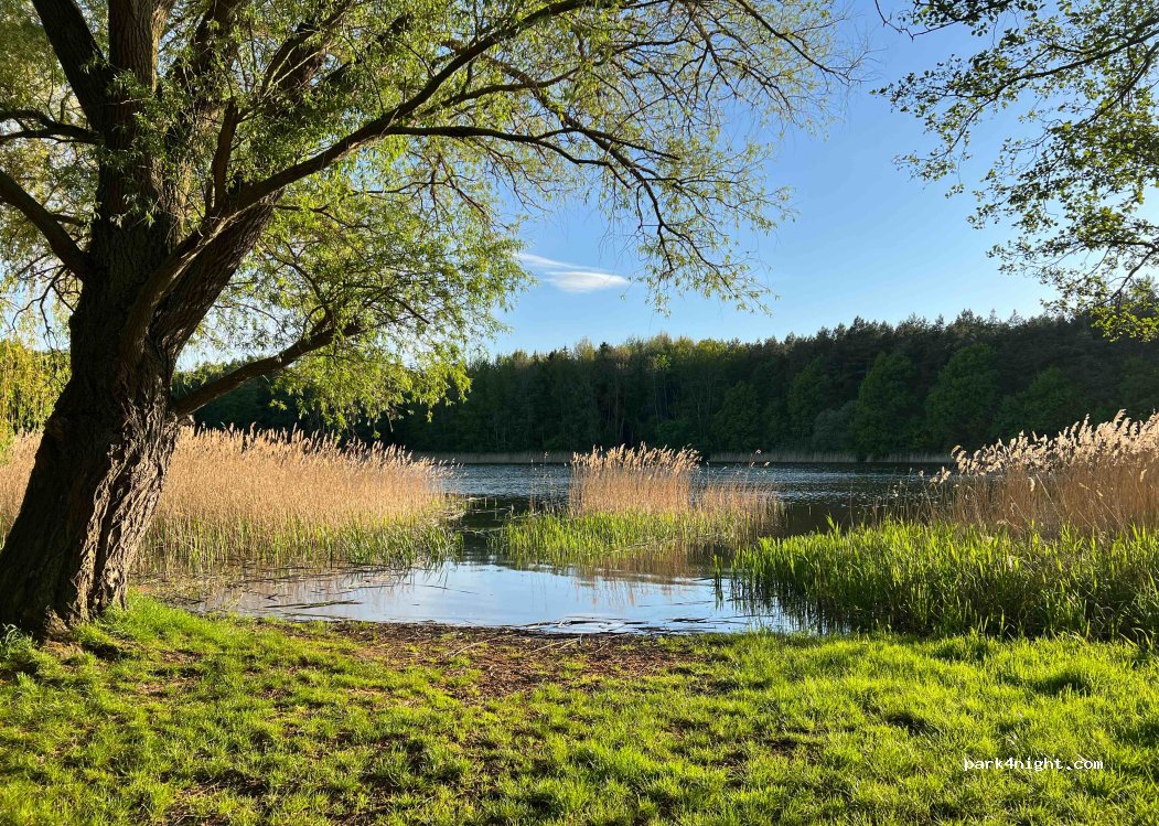 (23974) Neuburg - Unnamed Road — foto 3