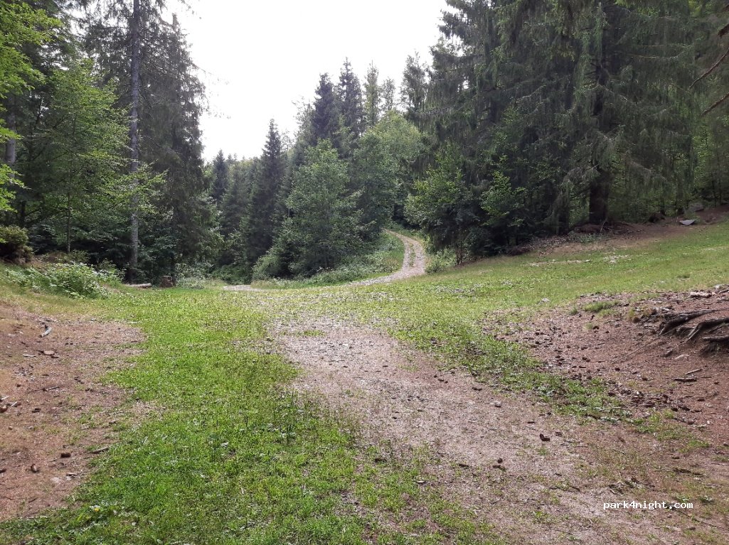 (88250) La Bresse - Chemin des Carrières — foto