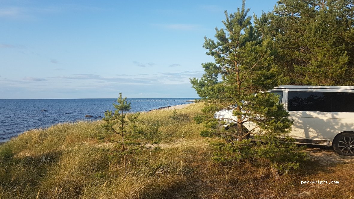 (92219) Lehtma - Unnamed Road — foto