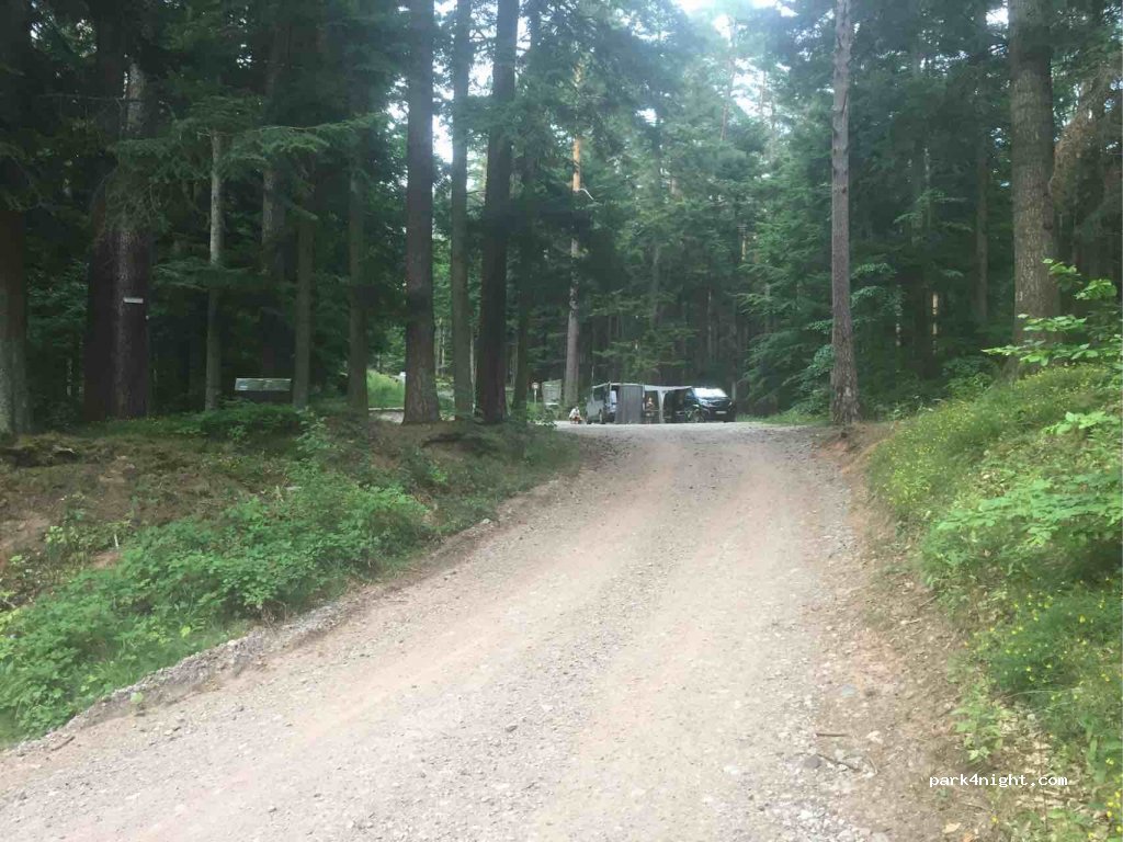 (67710) Wangenbourg-Engenthal - 31 Route du Nideck — foto