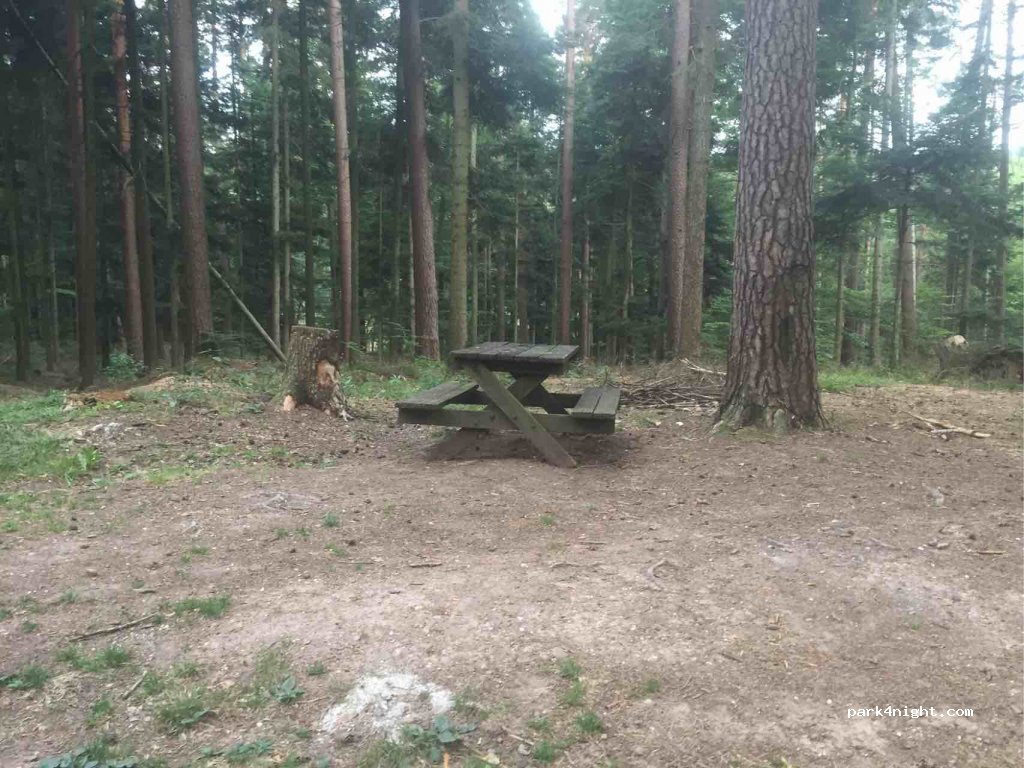 (67710) Wangenbourg-Engenthal - 31 Route du Nideck — foto 2