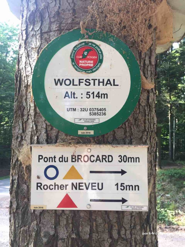 (67710) Wangenbourg-Engenthal - 31 Route du Nideck — foto 4