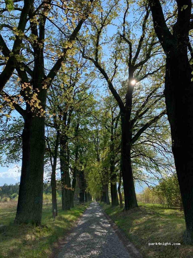 (74-311) Ostrowiec - Unnamed Road — foto 2
