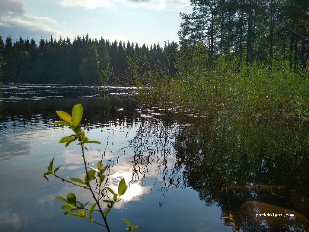 (77910) Rautalampi - 79 Vesannontie — foto 3