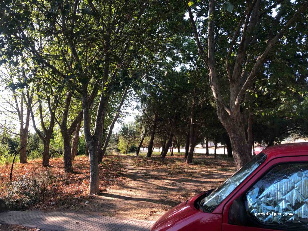 (28971) Griñón - 151A Paseo del Carraperal — foto 2