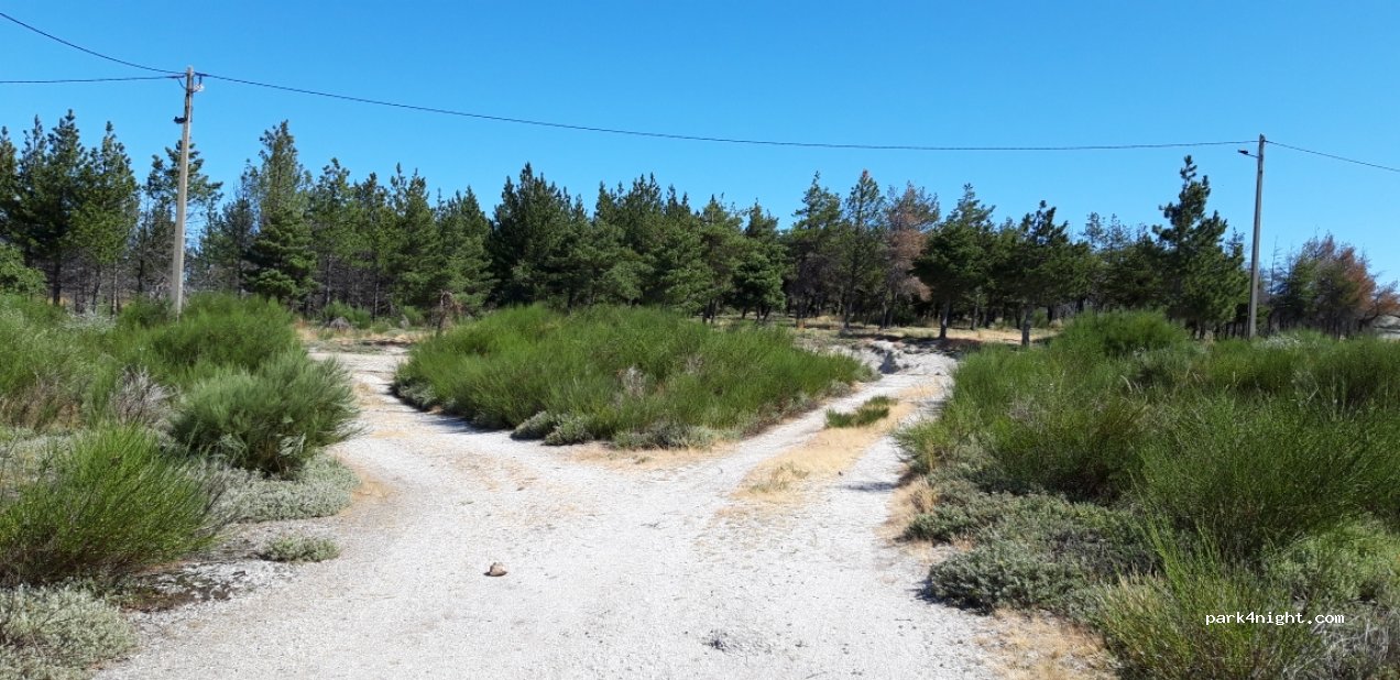 (6290-000) Gouveia - Unnamed Road — foto