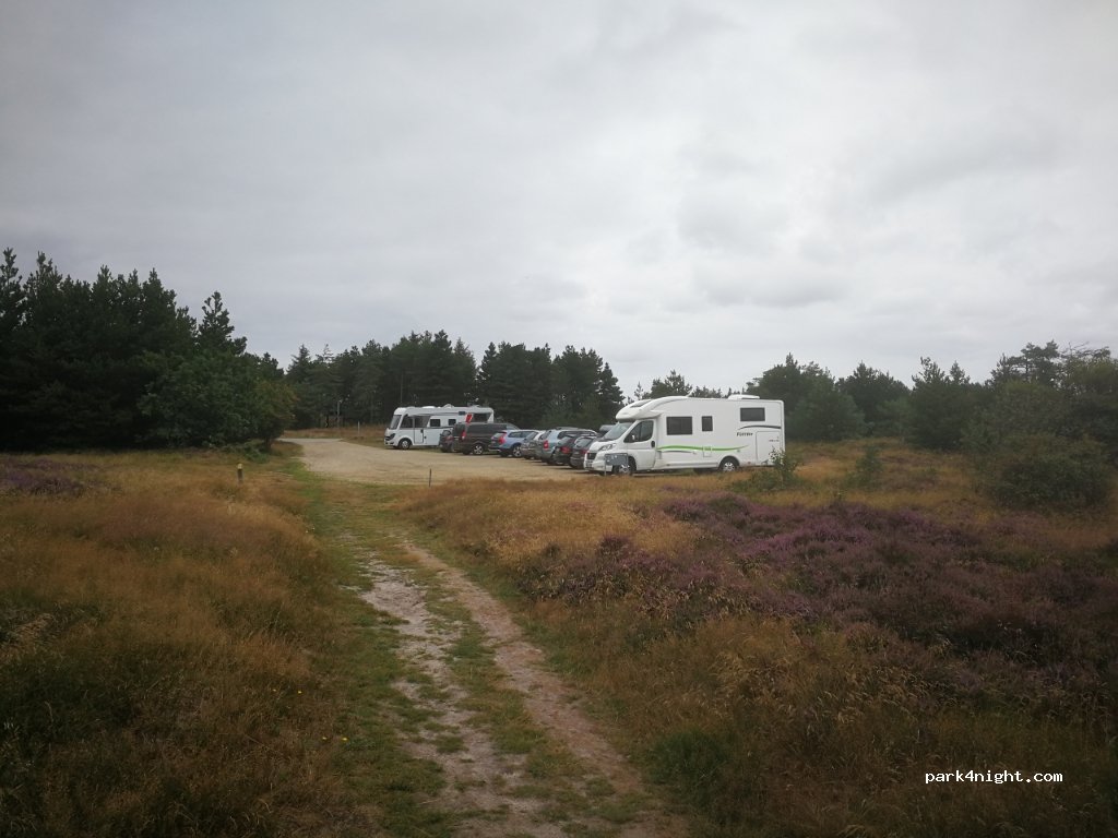 (6857) Blåvand - Tane Hedevej — foto