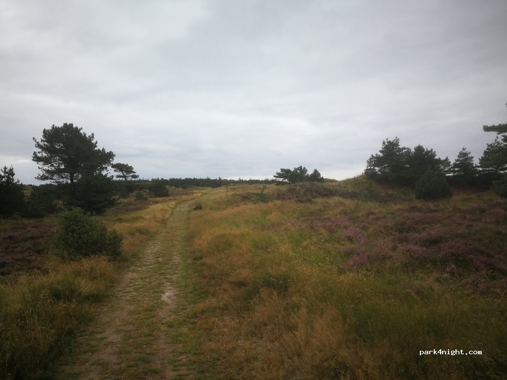 (6857) Blåvand - Tane Hedevej — foto 2