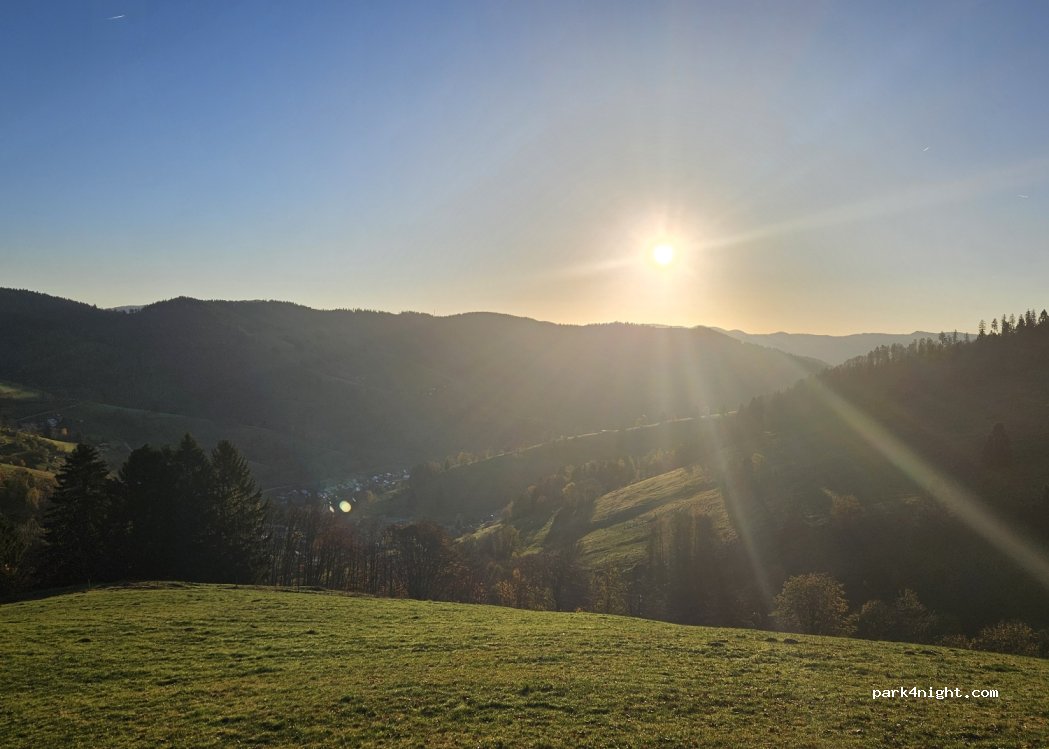 (79695) Wieden - K6341 — foto 5