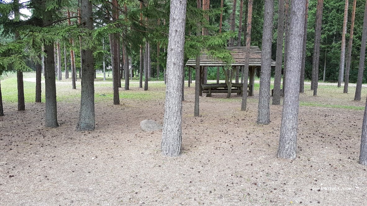 (98301) Lenkimai - S. Daukanto Gatvė — foto 2