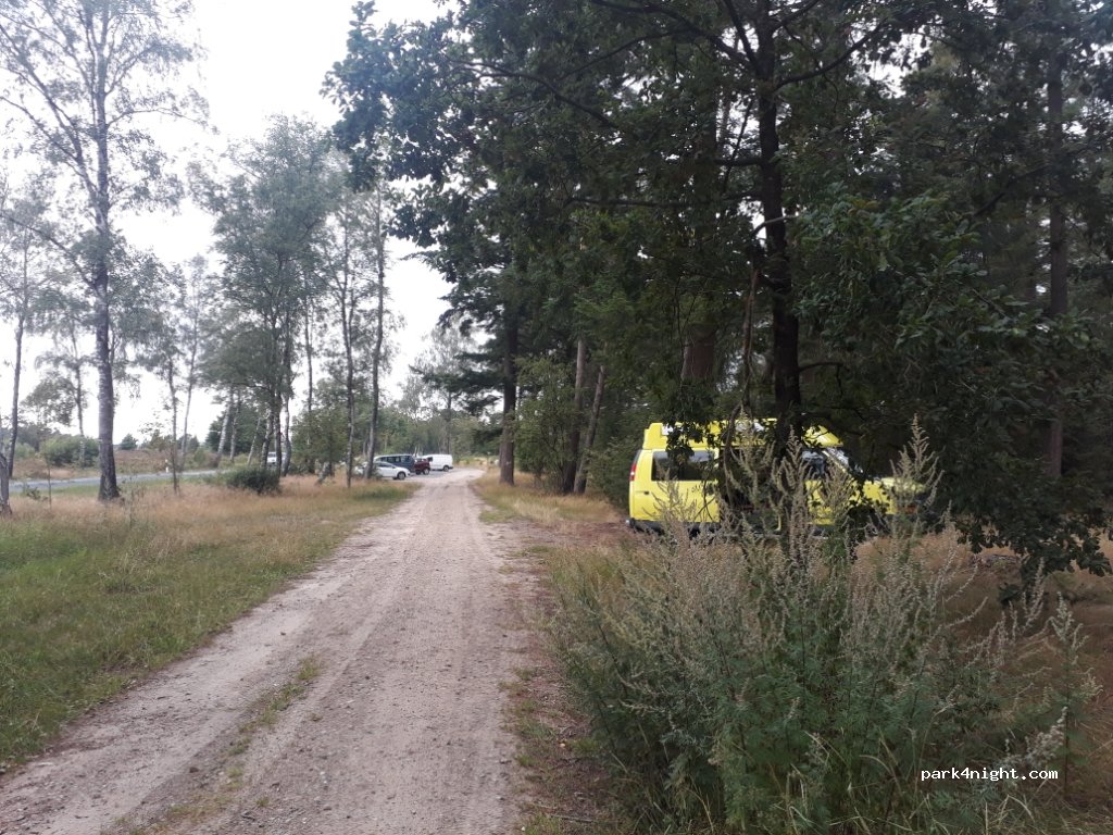 (21274) Undeloh - Zur Dorfeiche — foto