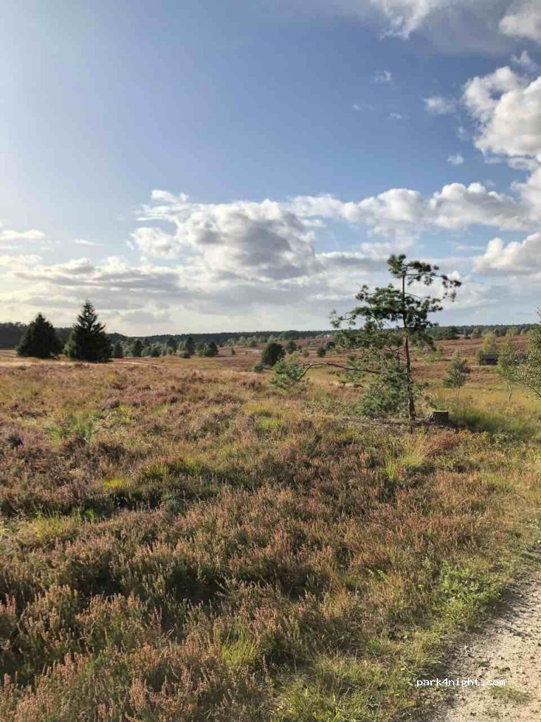 (21274) Undeloh - Zur Dorfeiche — foto 2