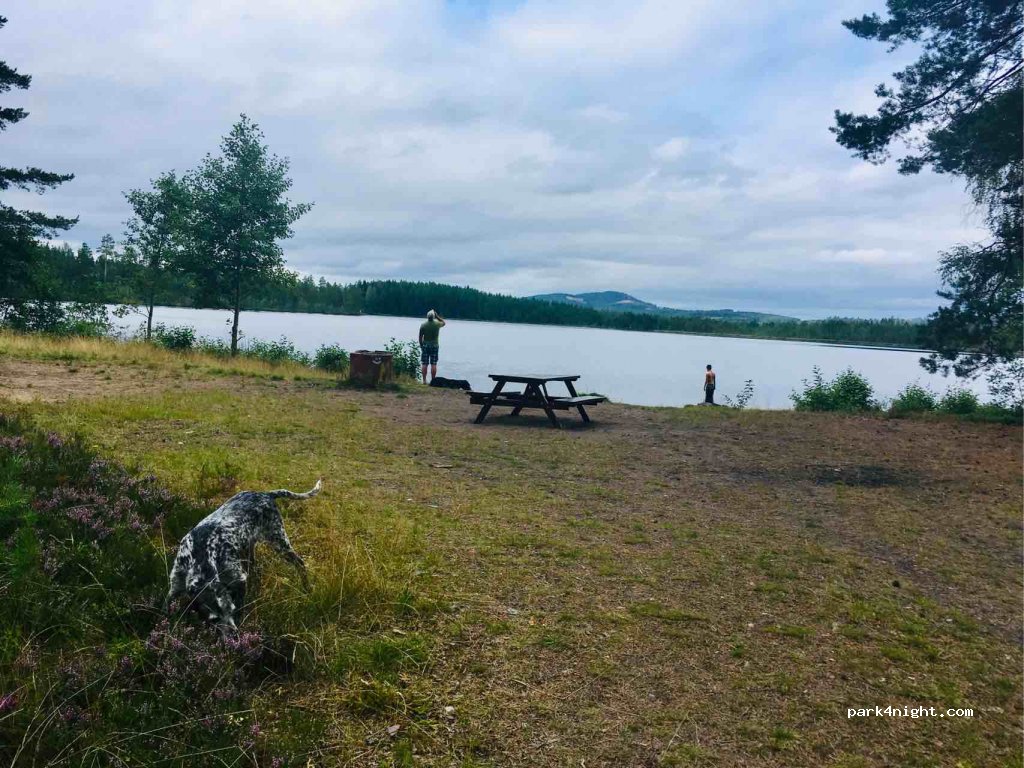 (712 93) Hällefors - Sävenforsvägen — foto