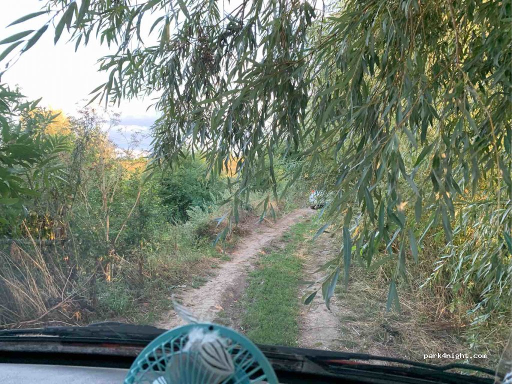 (31340) Lisovi Hrynivtsi - Unnamed Road — foto