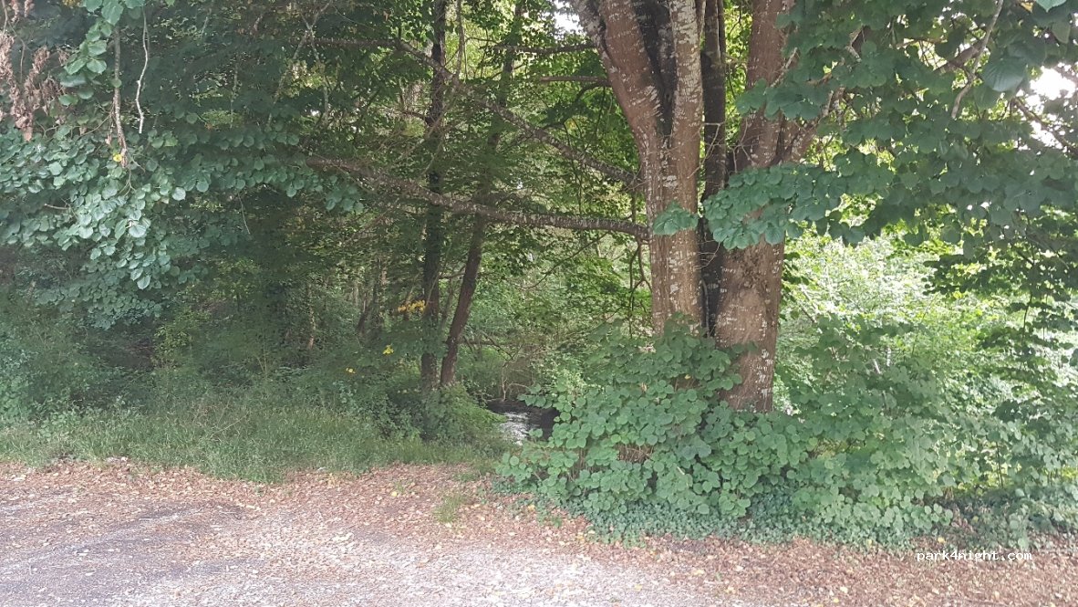 (40550) Saint-Michel-Escalus - 283 Route Lacs — foto