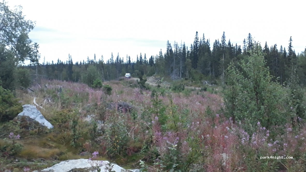 (910 88) Marsfjäll - Unnamed Road — foto 2