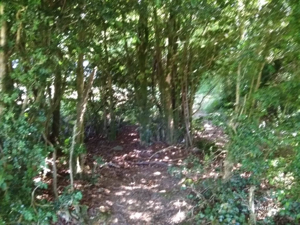 (31695) Erro - Camino Sorogain — foto 2