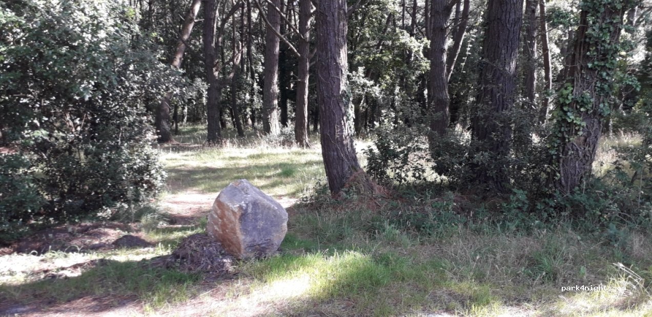 (44420) Piriac-sur-Mer - Route de la Justice — foto