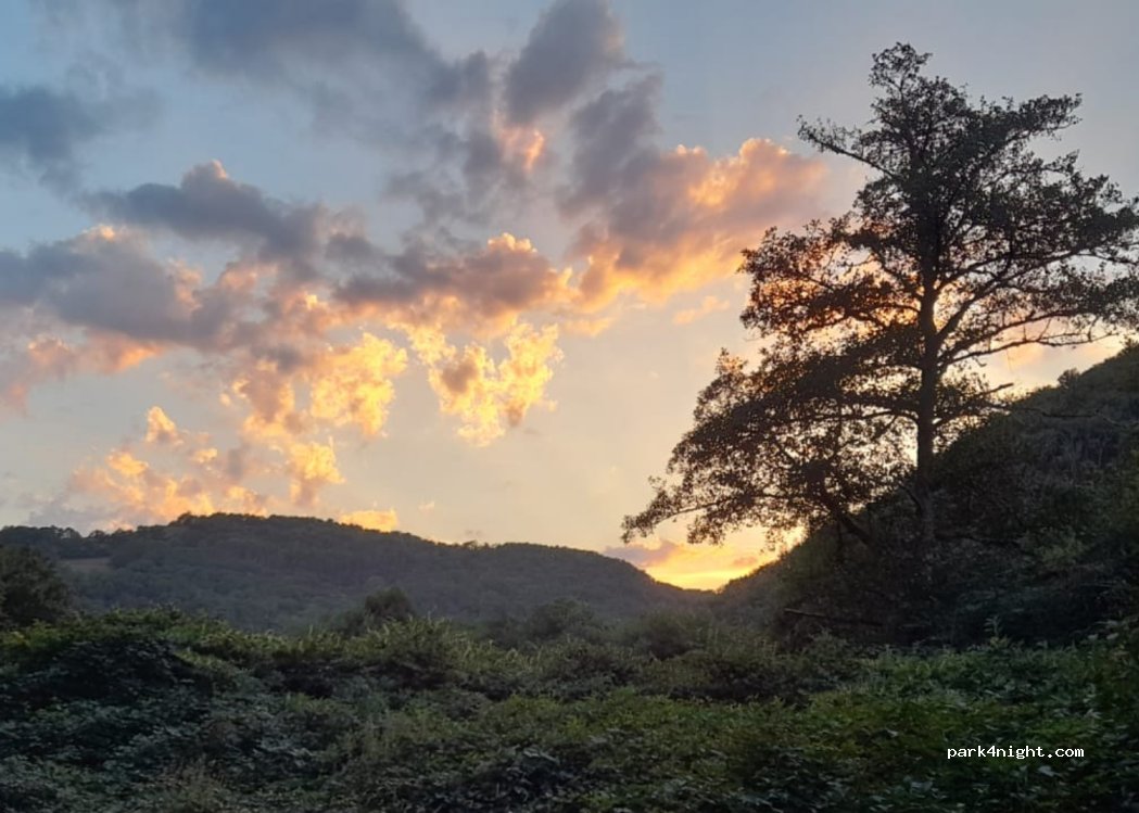 (15210) Madic - Unnamed Road — foto 4