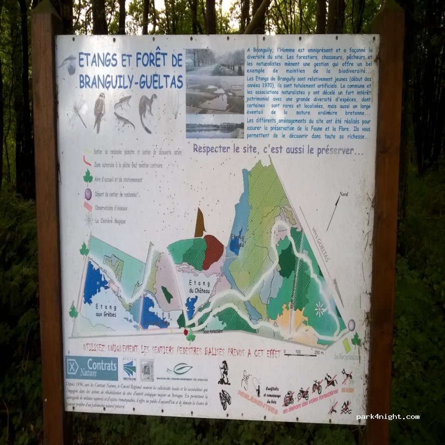 (56920) Gueltas - Forêt de Branguily — foto