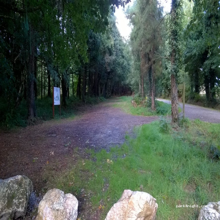 (56920) Gueltas - Forêt de Branguily — foto 2