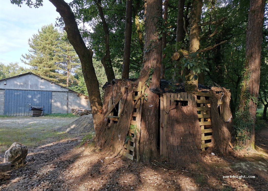 (56920) Gueltas - Forêt de Branguily — foto 3