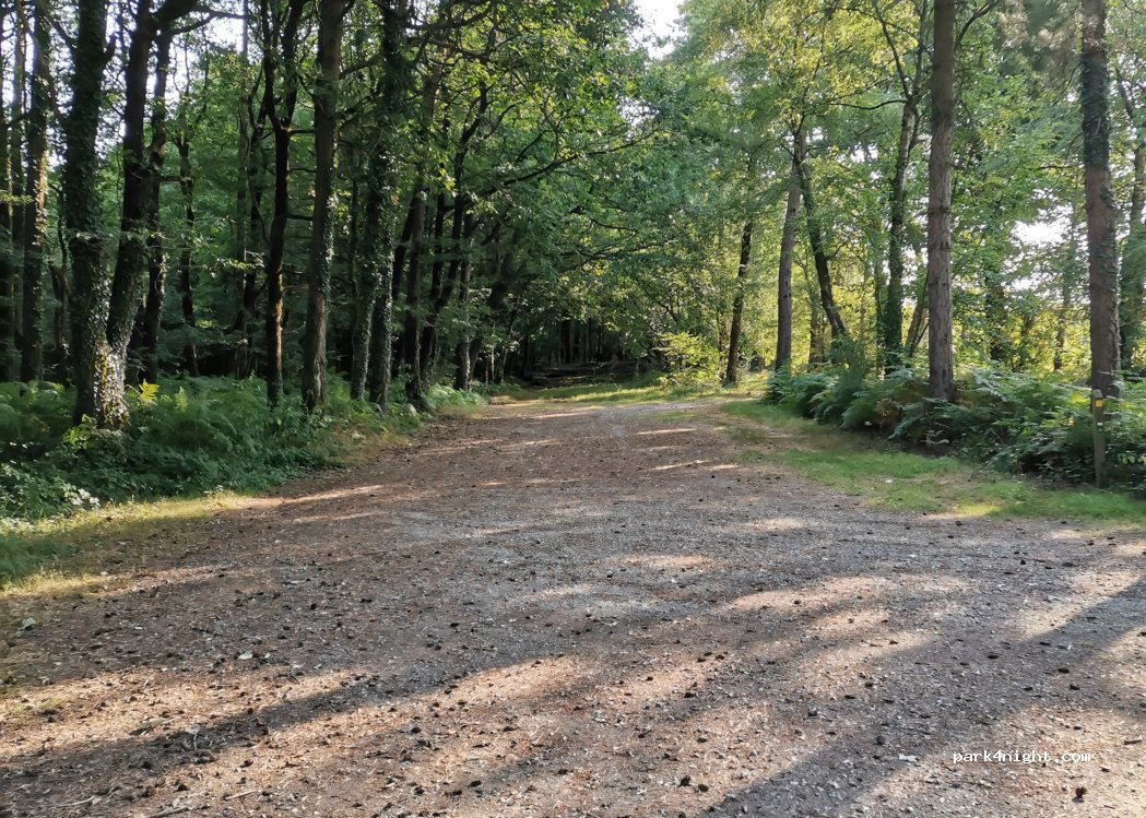 (56920) Gueltas - Forêt de Branguily — foto 5