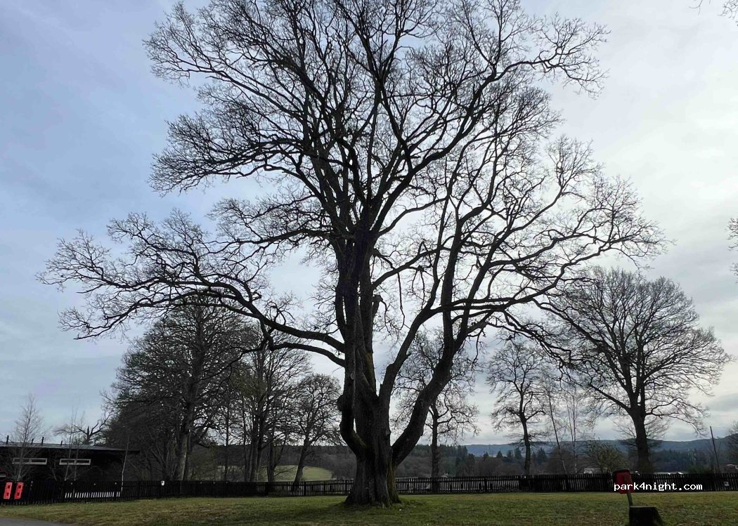 Beauly Holiday Park — foto 4