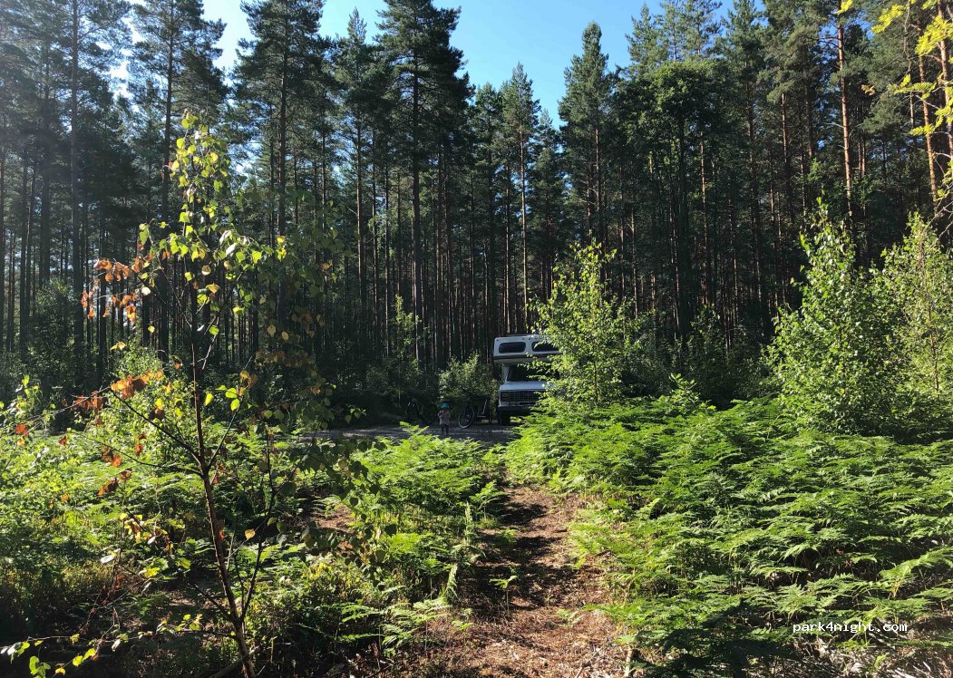 (598 32) Vimmerby - Prästgårdsgatan — foto 2