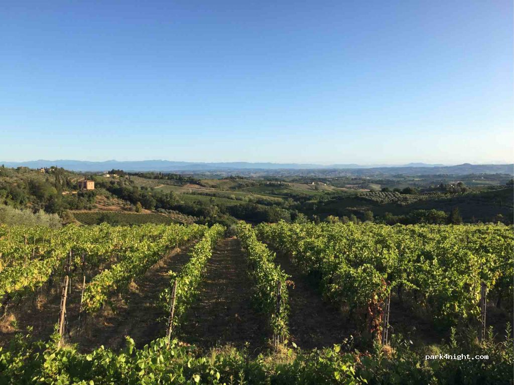 (53037) San Gimignano - 2 SP1 — foto 2