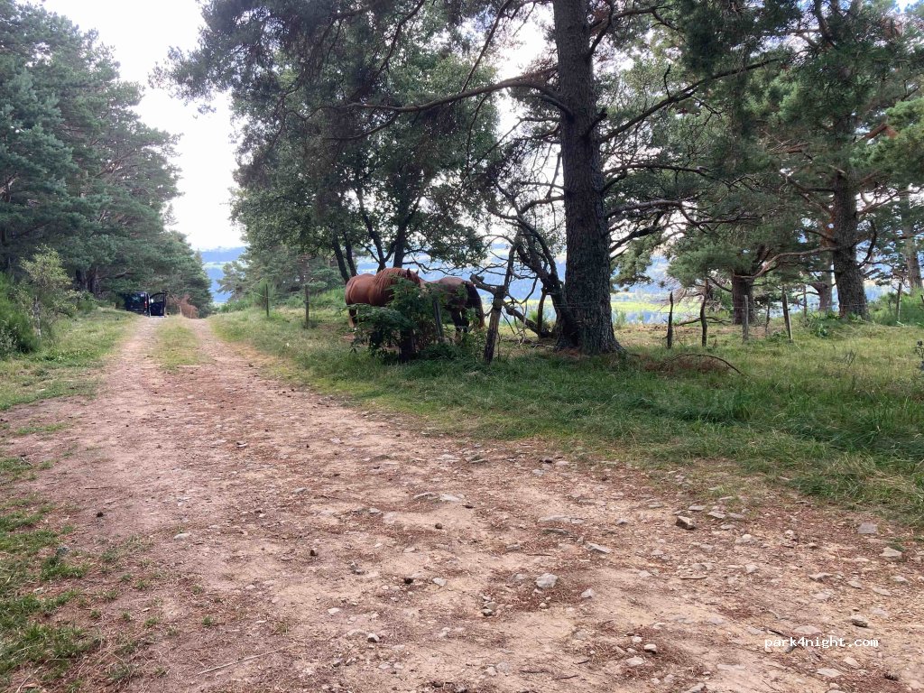 (63790) Chambon-sur-Lac - D996 — foto 2