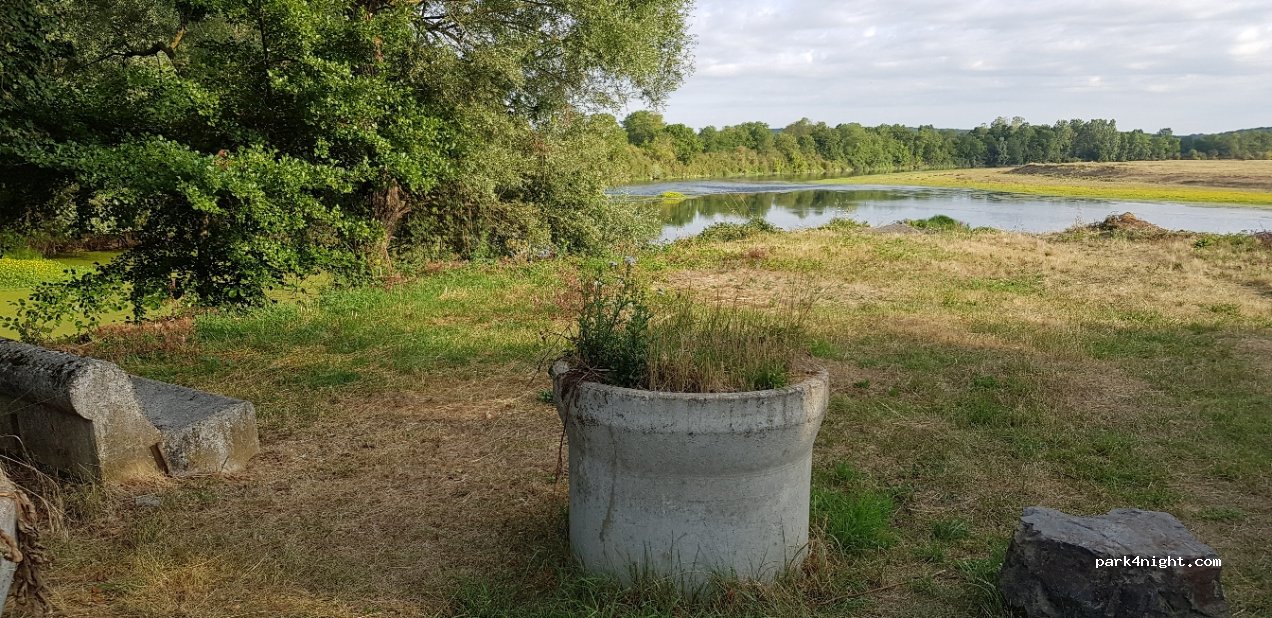 (03470) Pierrefitte-sur-Loire - Les Cornus — foto