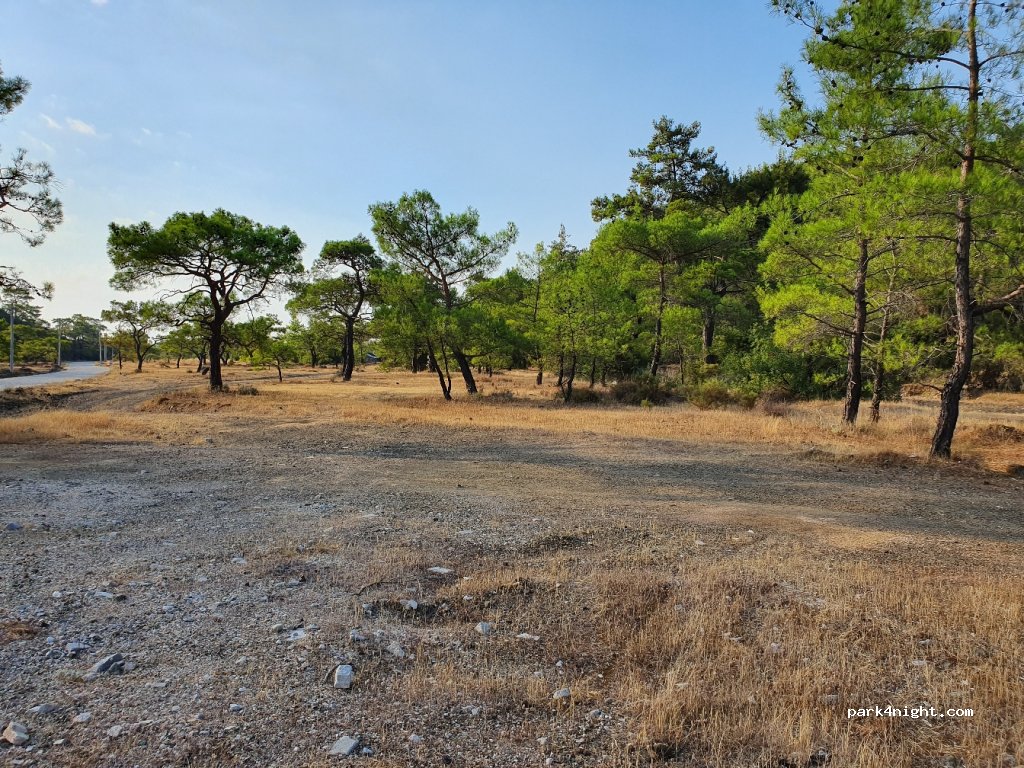 (07980) Antalya - Unnamed Road — foto