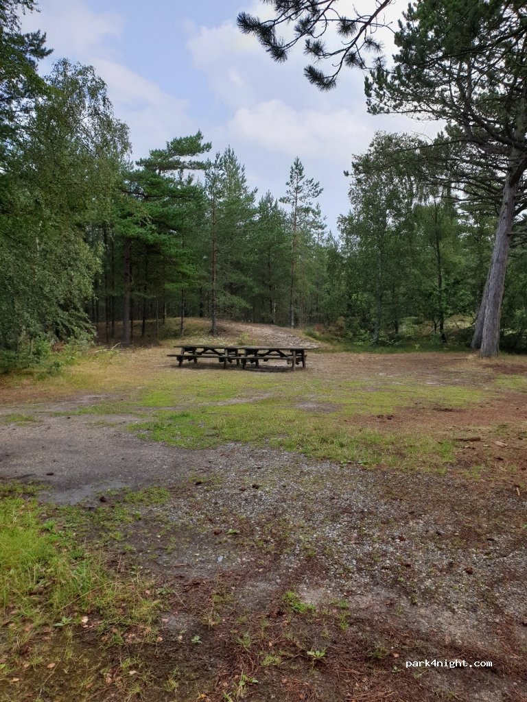 (9982) Ålbæk - Råbjergvej — foto
