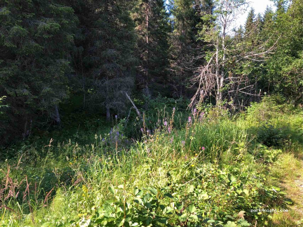 (7873) Gartland - Unnamed Road — foto