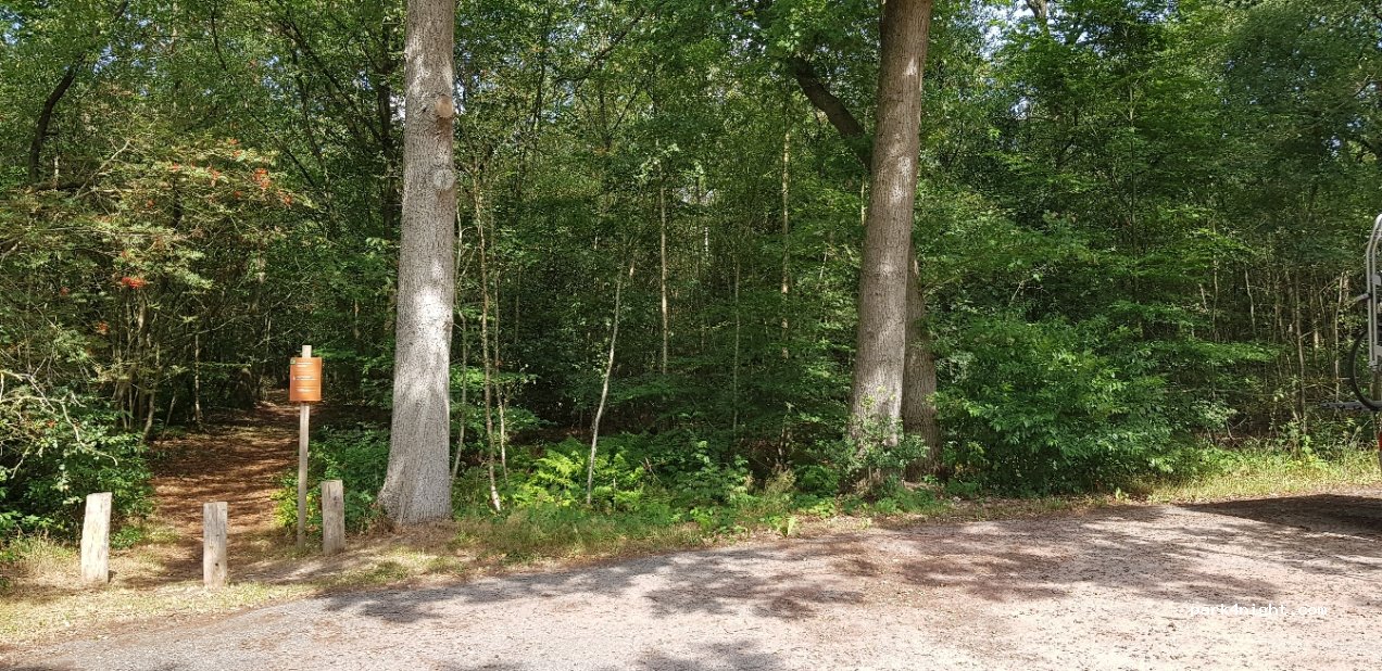 (8409 CK) Hemrik - 29 Sparjeburd — foto 3