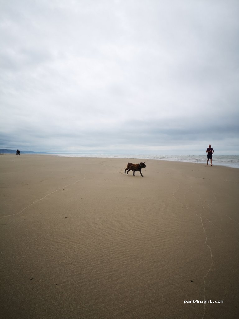 (SY24 5JZ) Borth - Unnamed Road / Ynyslas — foto 4