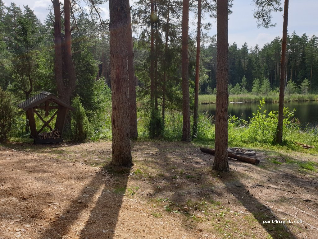 (4729) Launkalnes pagastts - Unnamed Road — foto 2