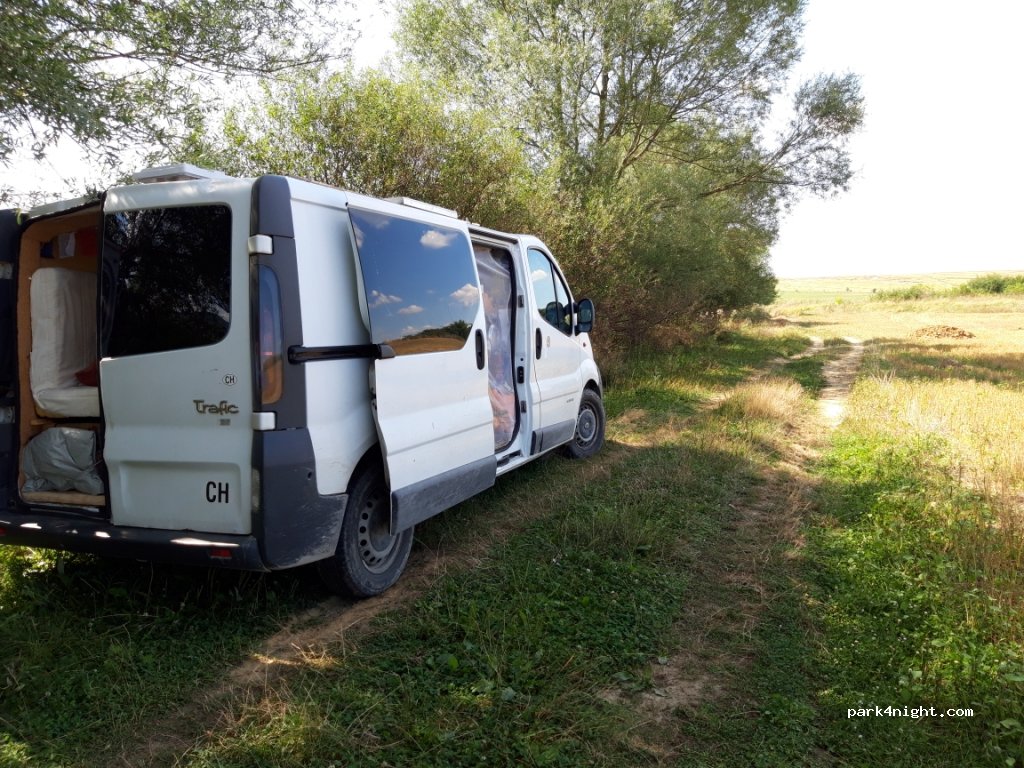 () Zvezditsa - 706 — foto