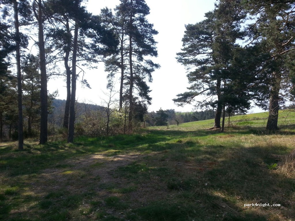 (43590) Beauzac - Le Cortial Haut — foto