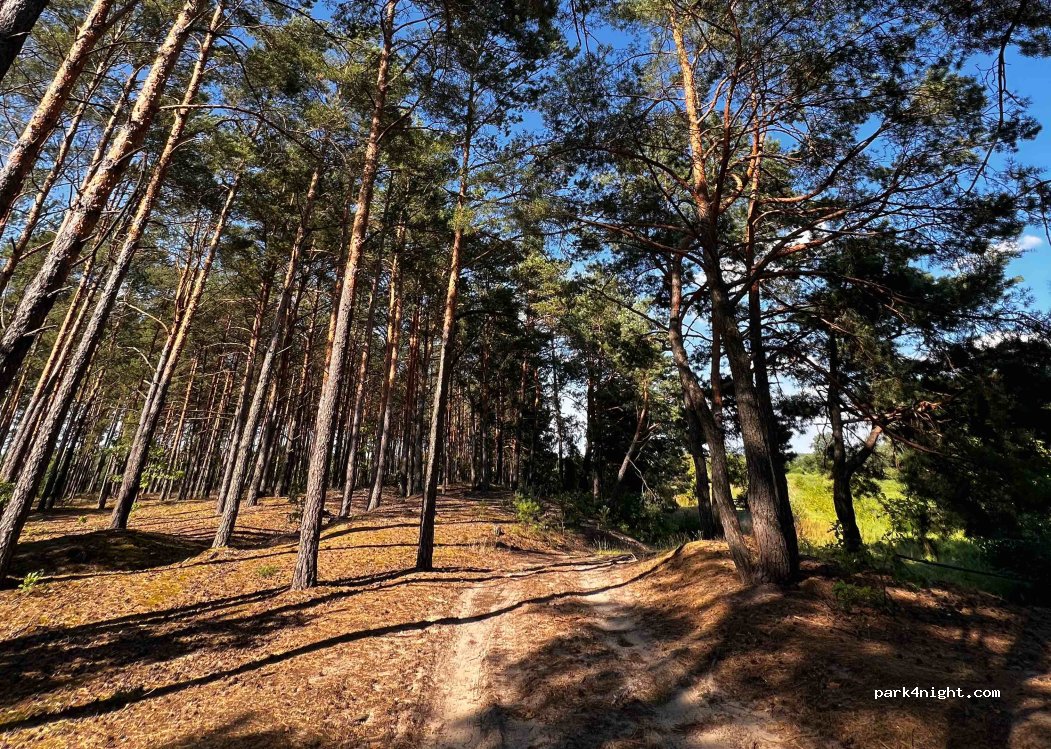 (06-231) Sadykierz - Unnamed Road — foto 4