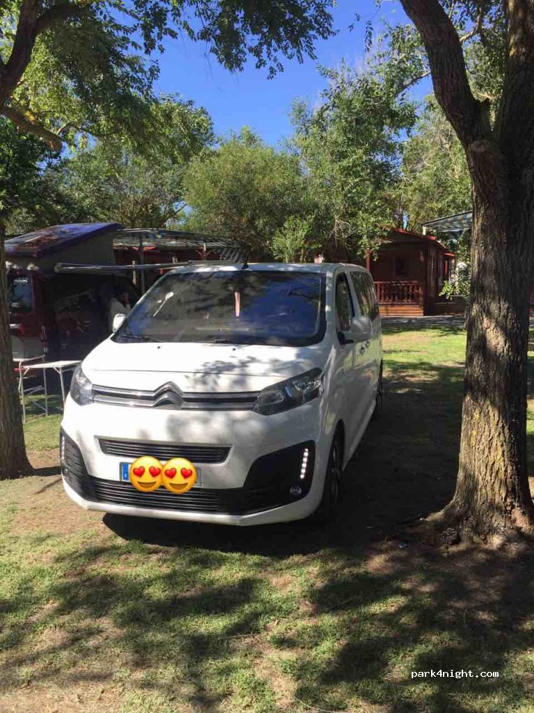Camping El Palmar — foto 2