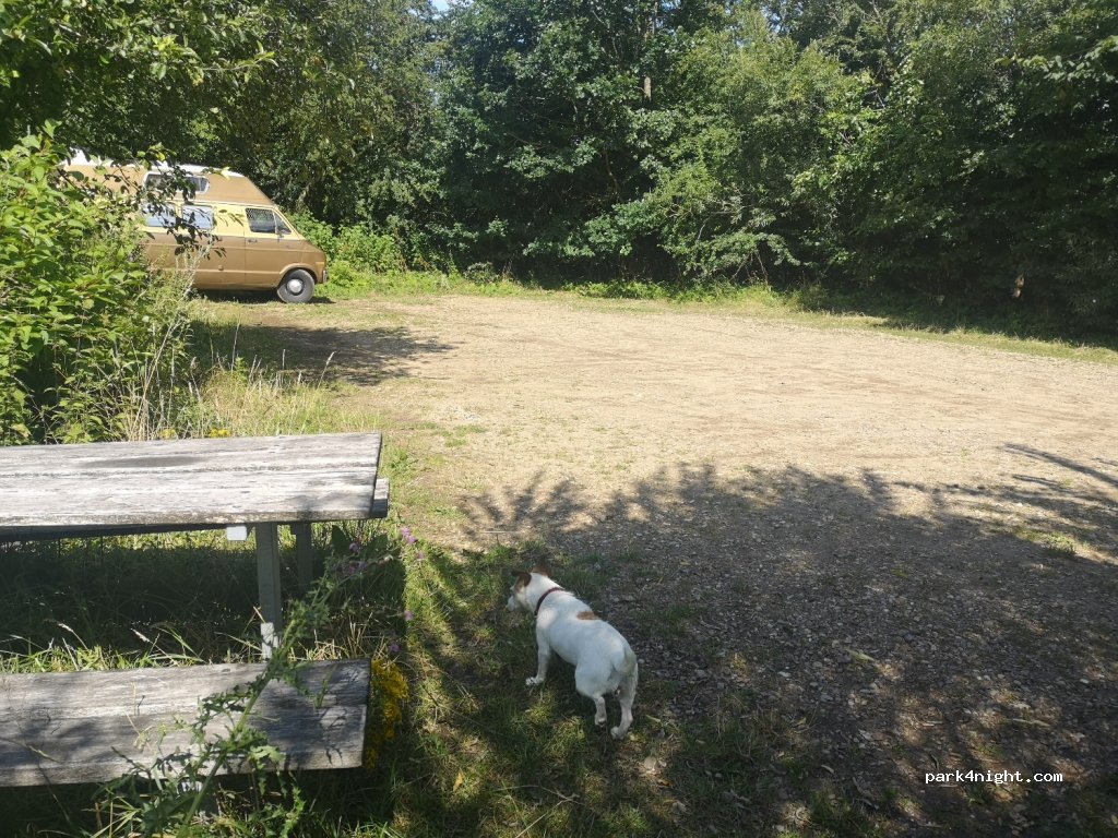 (6064) Jordrup - 8A Skærsøvej — foto