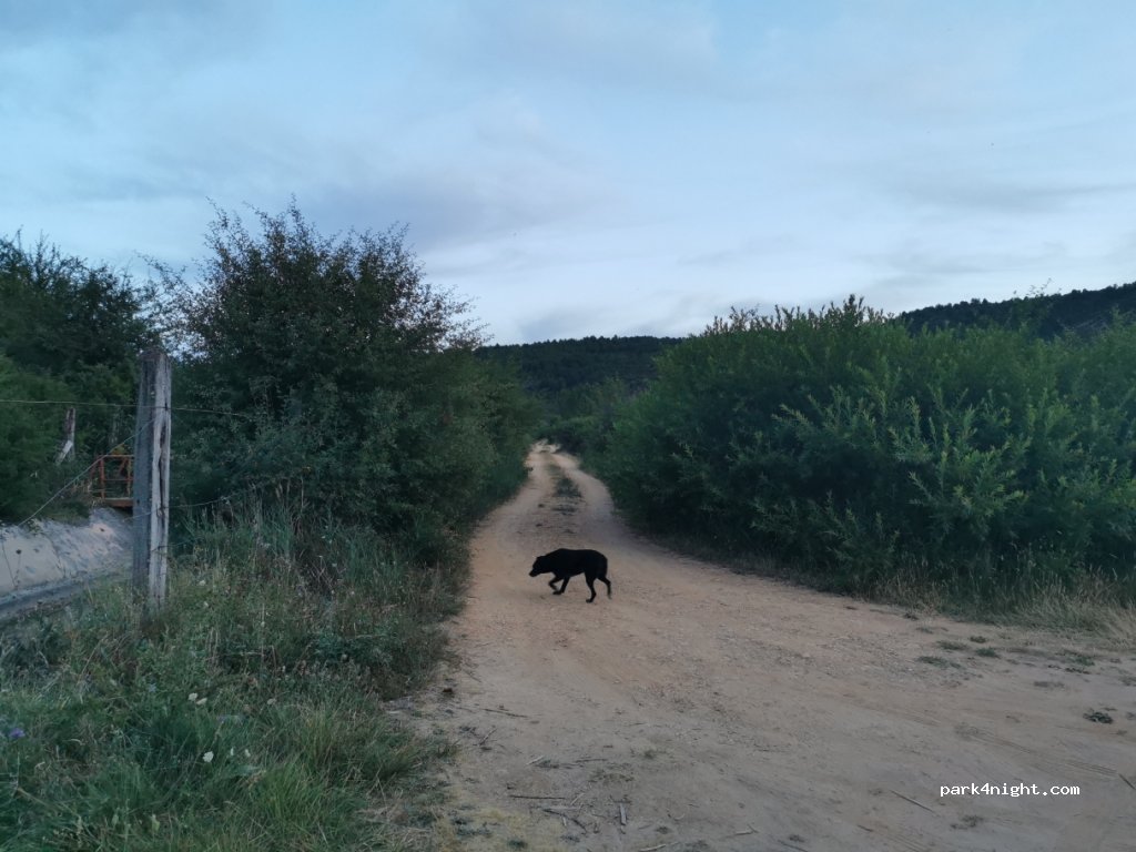 (16879) Masegosa - Unnamed Road — foto 4